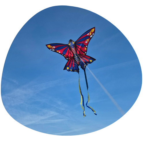 Enfant et ado – Apaiser et sécuriser l’enfant au quotidien – Kinésiologue au Mans Enfant et ado - Apaiser et sécuriser l’enfant au quotidien - Kinésiologue au Mans